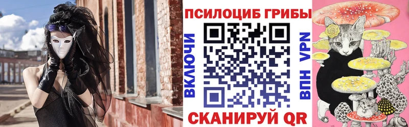 Галлюциногенные грибы мицелий  купить наркотики сайты  Брянск 